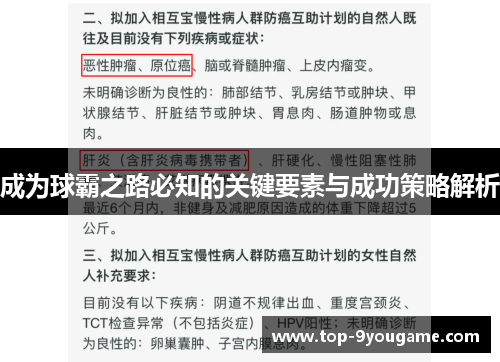 成为球霸之路必知的关键要素与成功策略解析