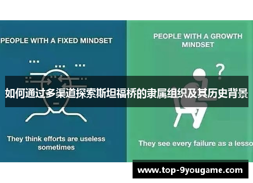 如何通过多渠道探索斯坦福桥的隶属组织及其历史背景