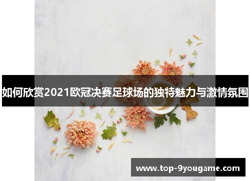 如何欣赏2021欧冠决赛足球场的独特魅力与激情氛围